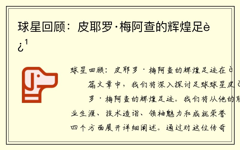 球星回顾：皮耶罗·梅阿查的辉煌足迹