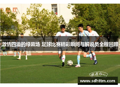 激情四溢的绿茵场 足球比赛精彩瞬间与解说员全程回顾